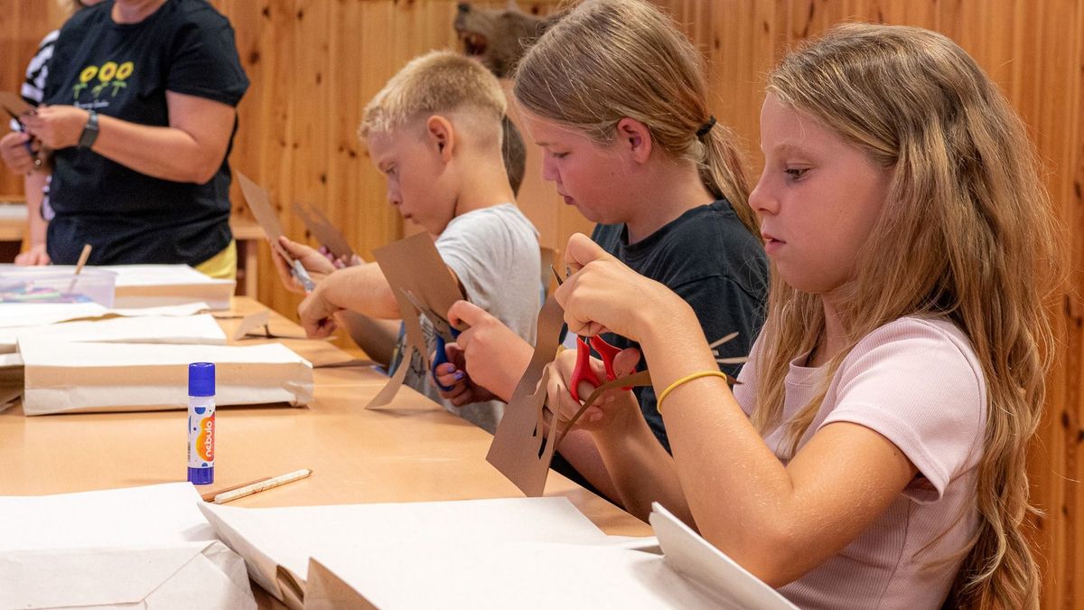 Tartalmas program a nyári táborban
