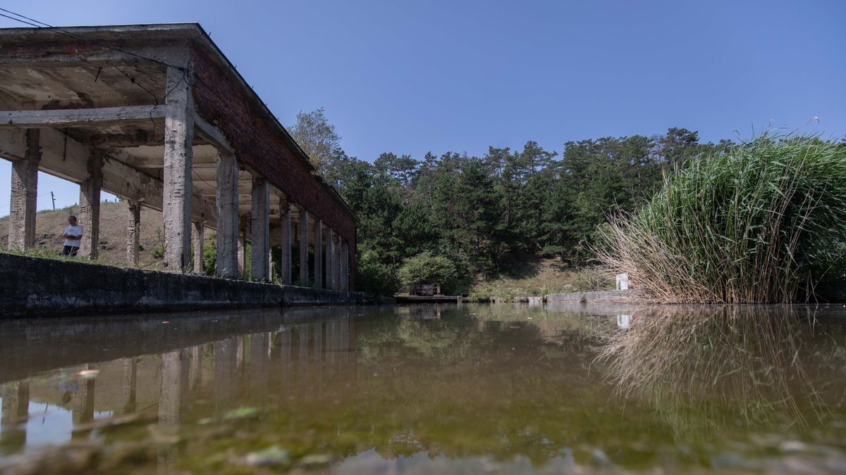 Víztározó – honnan jön, hová tart a patak? (galéria)