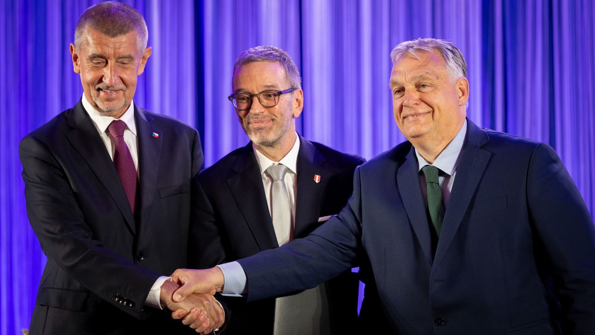 A Patrióták Európáért pártszövetség az emberek akaratát fogja érvényesíteni (videó)