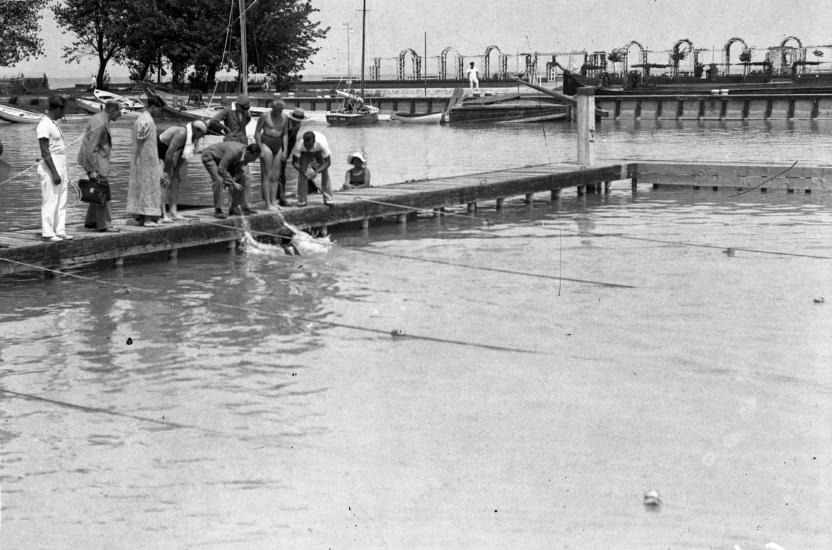 Úszóverseny az 1936-os magyar olimpikonok részvételével (Csik Ferenc, Gróf Ödön és mások) a siófoki kiötőben