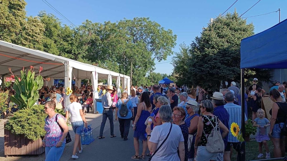 Meg kell védeni a kékfestést!