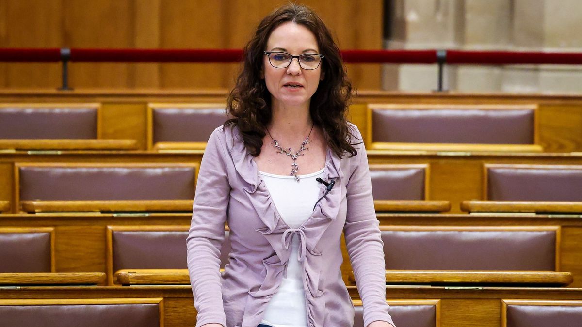 Szabó Tímea mentegeti a korrupciós ügy miatt letartóztatott Kiss Lászlót