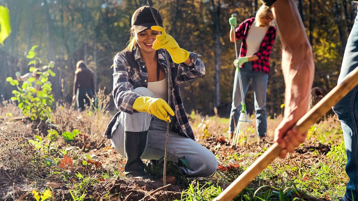 Erdészeti szakértői hálózattal segíti a gazdákat az agrárkamara