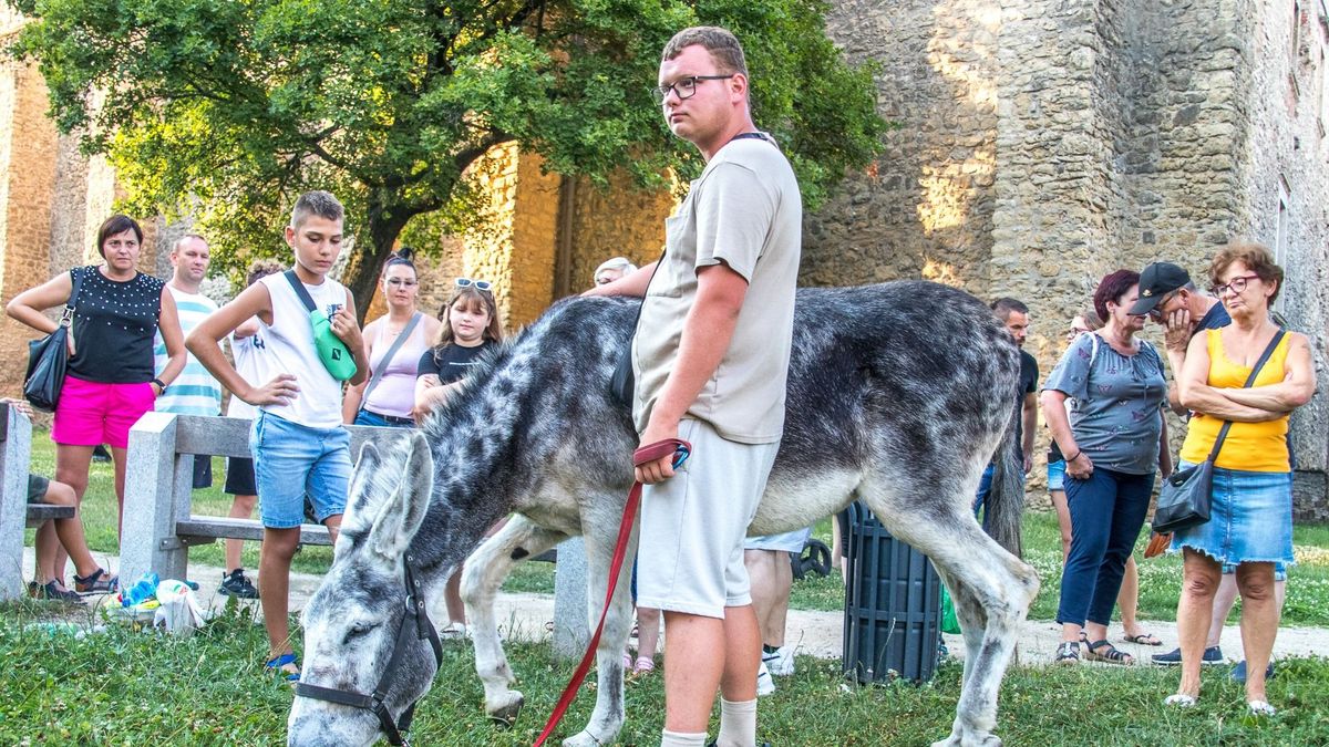A várnál fogadták a „szamaras” srácot