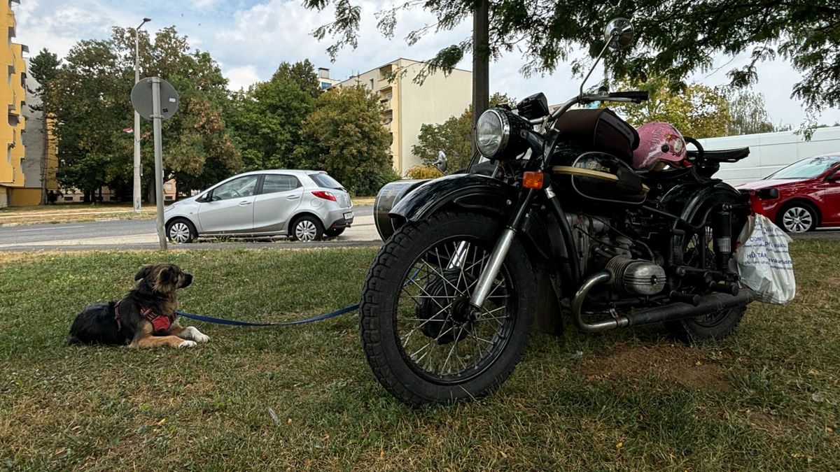 Napi szürreál: a veterán Ural motor és utasai (képgaléria)