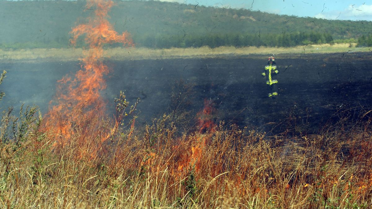 Tarlóégetés: csak kivételes esetben megengedett