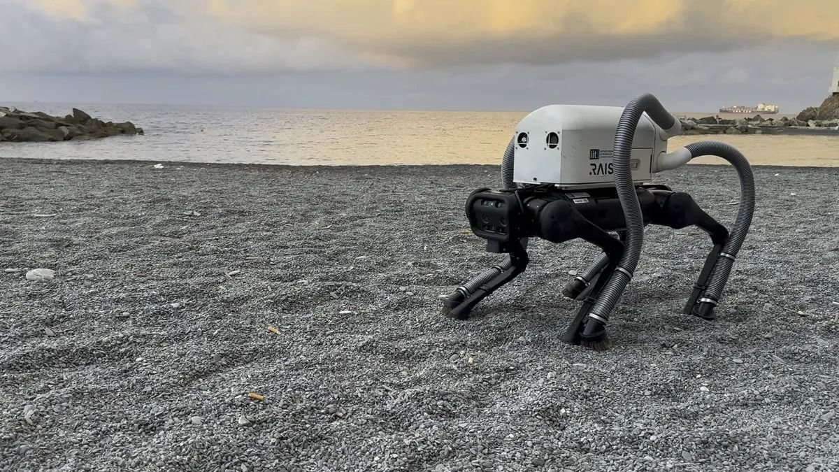 Robotkutya takarítja fel az olasz tengerparton az eldobott csikkeket