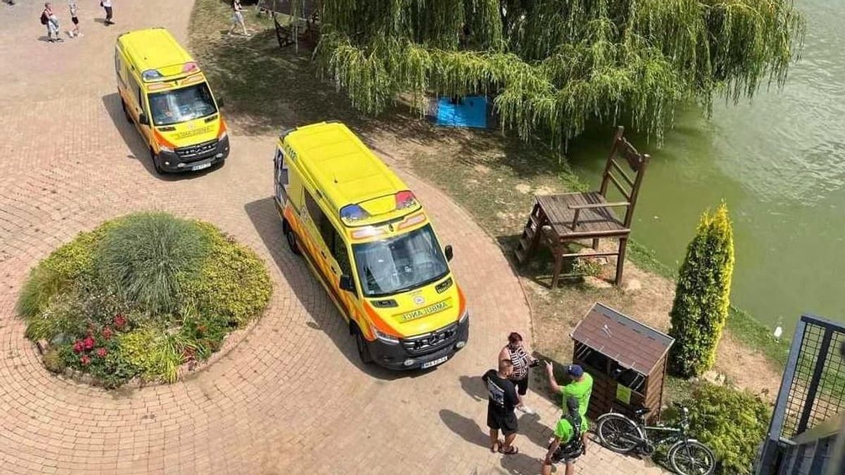 Kalandpark tornyába másztak fel a veszprémi mentők, hogy egy megsérült nőnek segíthessenek