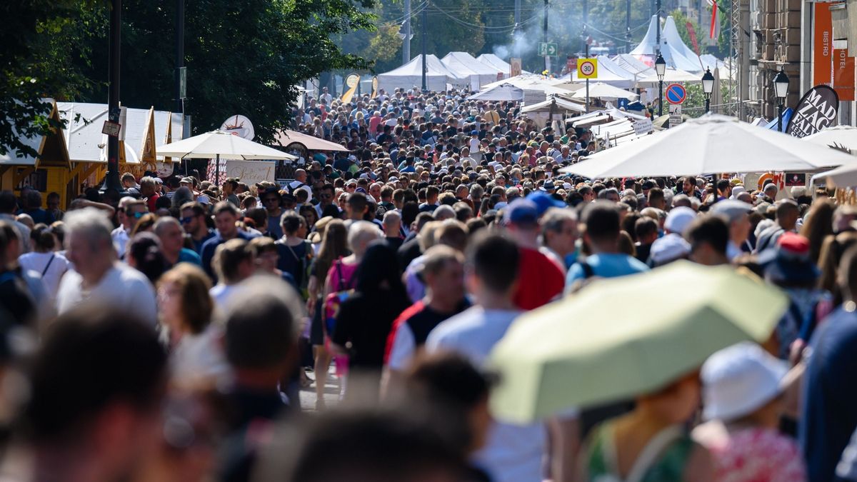 Izgalmas programok várják a családokat is Szent István-napon