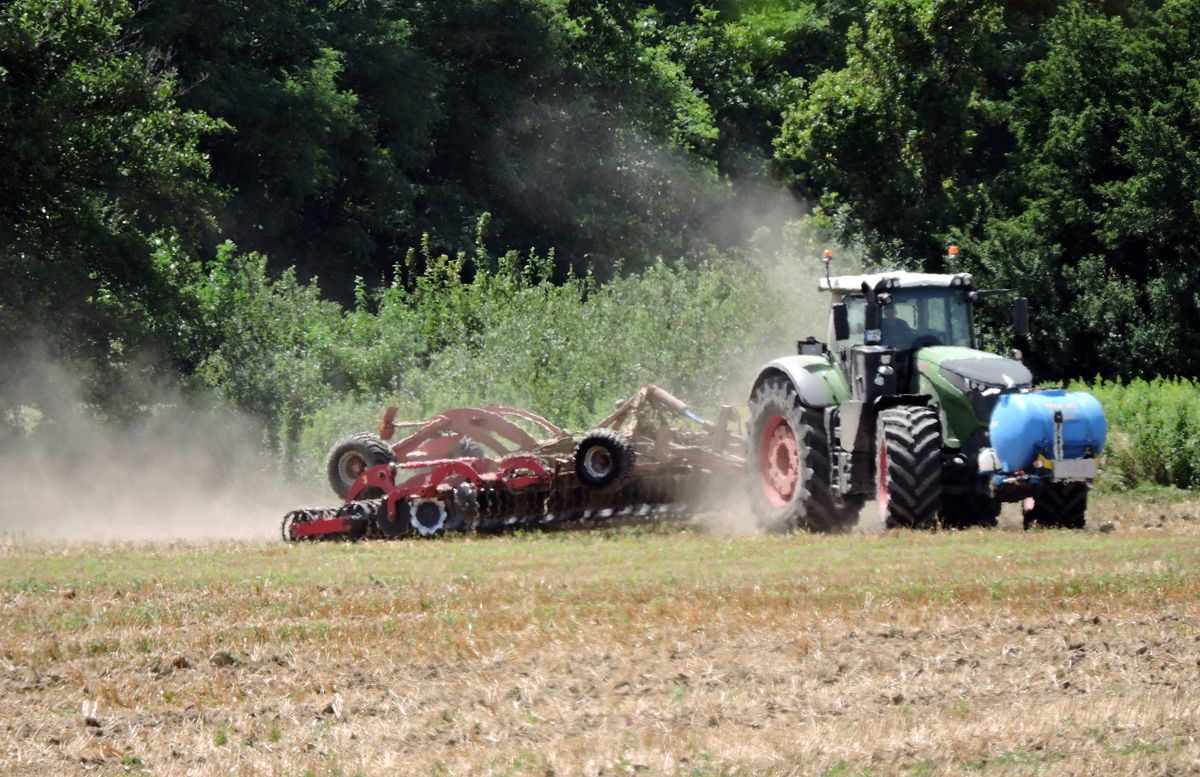 A gazdák nemcsak az időjárással, a költségek növekedésével kell megküzdeniük, hanem a vadkárral is. Ebben kíván segítséget nyújtani a Nemzeti Agrárgazdasági Kamara