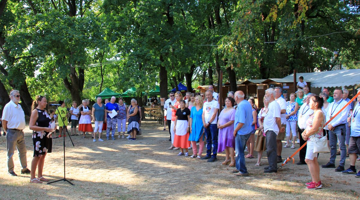 A szervezők nevében Oszkai Réka, a  Kisfaludy Sándor Művelődési Központ igazgatója köszöntötte a résztvevőket a Palotakertben, majd a Civil piknik támogatójaként a sümegi önkormányzat nevében Végh László polgármester szólalt meg