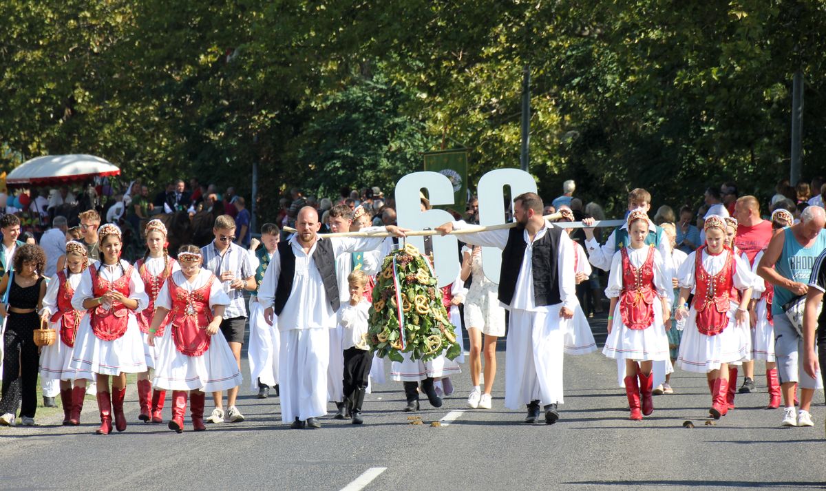 A Badacsonyi szüret elmaradhatatlan kelléke a szőlőharang, amelyet a vasárnapi felvonuláson is ezrek kísértek át Badacsonytomajról Badacsonyba