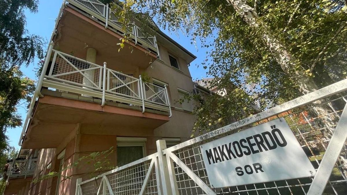Három holttestet találtak egy szegedi lakásban