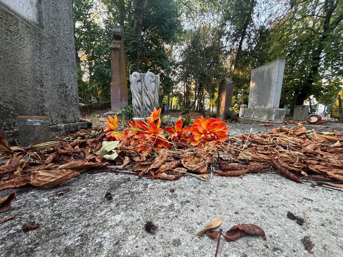 Csak kövek és levelek maradnak? Csak egy mozdulat a virág letépése, akárcsak a réten, de, ha egy sírról viszi el a tolvaj, akkor ez sokkal több annál, hogy a másét eltulajdonítja. Az érzéseit rabolja el, abba rondít bele. A gyászoló emlékezésébe dühösség vegyül, a szomorúság helyét a keserűség veszi át, épp ebben a sebezhető állapotában válik igazán kiszolgáltatottá