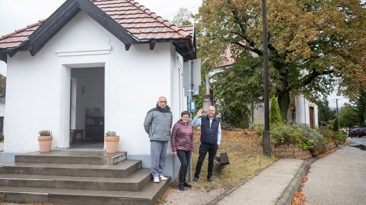 A szépségük vigyáz kedvenc megállóinkra, és jönnek az újabb különleges buszvárók (képgaléria)