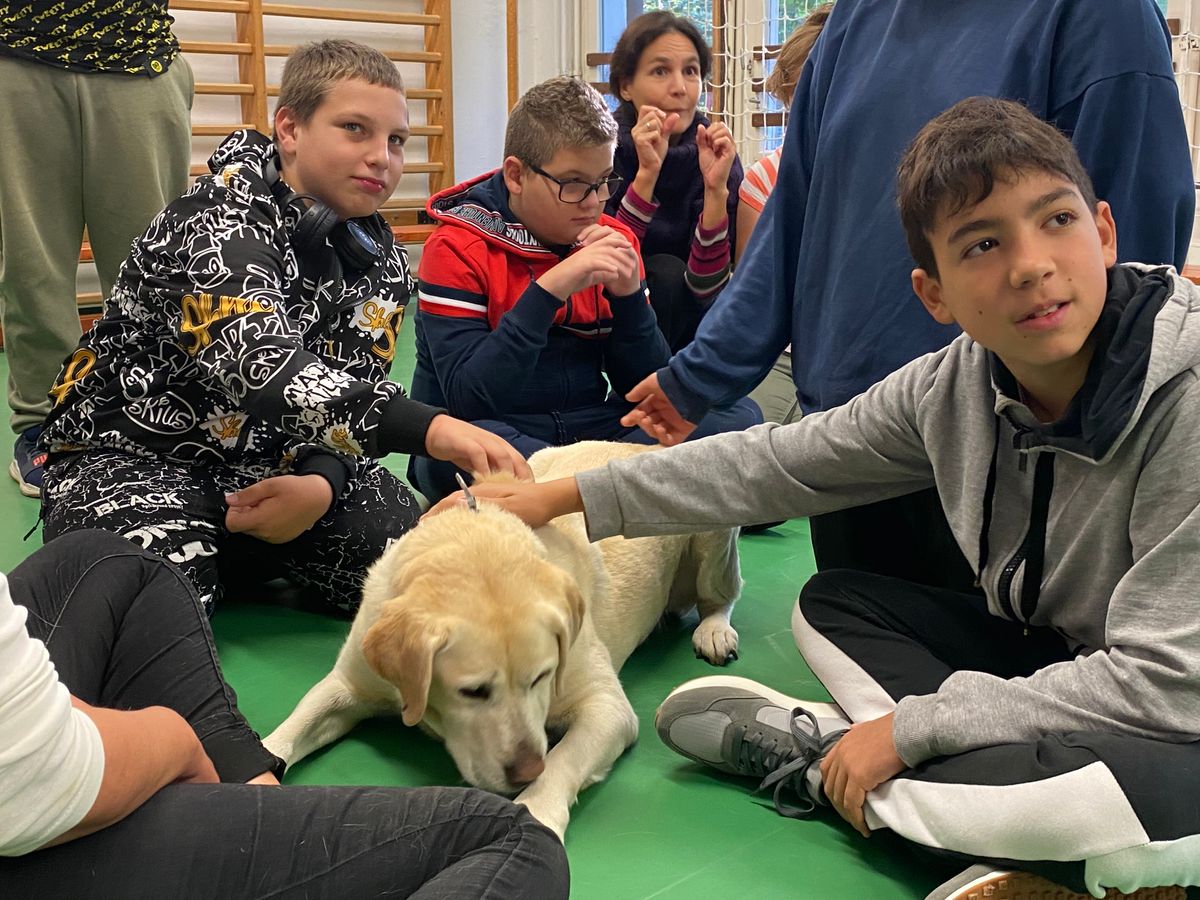 Nagy szeretettel, örömmel simogatták a gyerekek a labrador kutyát tavaly egy veszprémi iskolában a témahét keretében