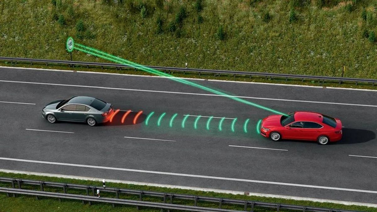 Őszi vadbalesetek és rossz időjárás: Óvatosan az utakon! – Ingyenes Casco biztosítás Skoda vásárlása esetén