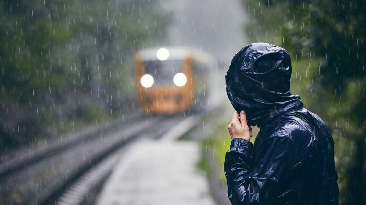 A vasutat sem kímélte a vihar: fa dőlt a sínre, nem közlekedtek a vonatok