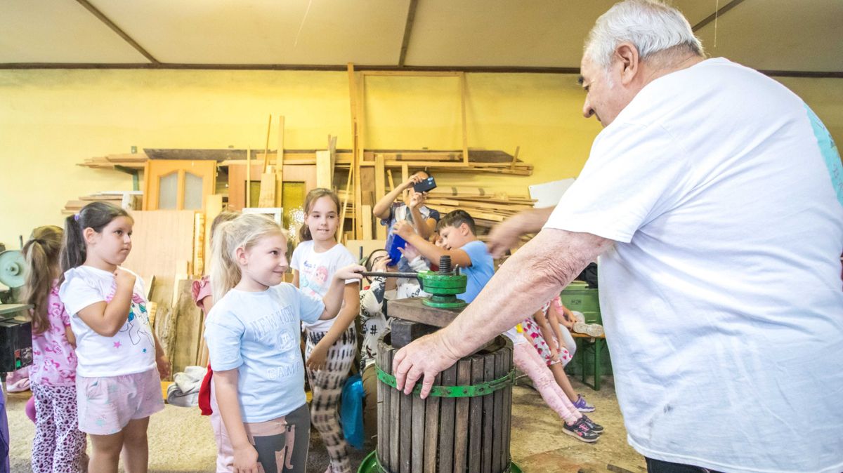 Szüreti bemutató kisdiákoknak