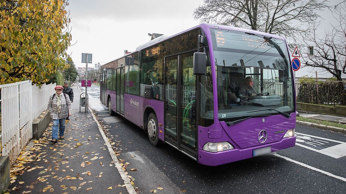 Volt, aki „Boldog 40. születésnapot” feliratú epertortát hagyott a V-Busz egyik járatán