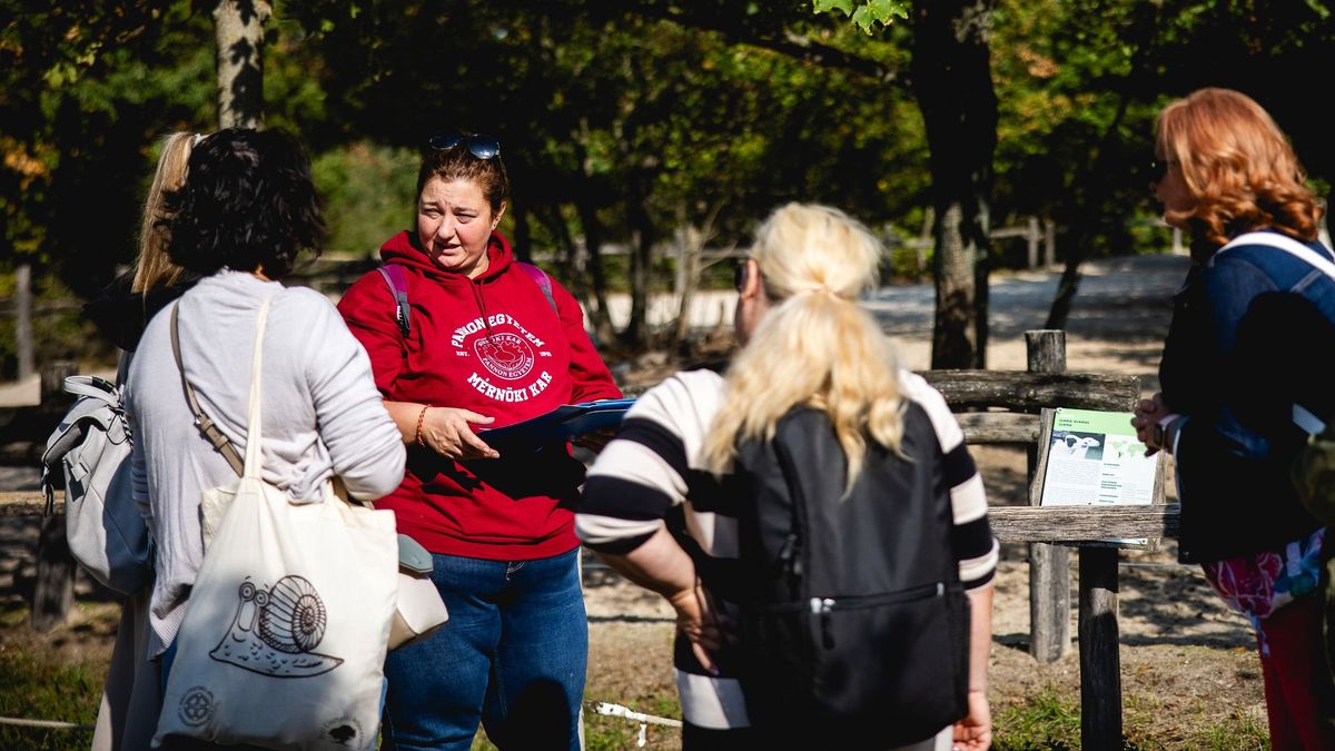 Sikeres a Veszprémi Állatkert és a Pannon Egyetem együttműködése