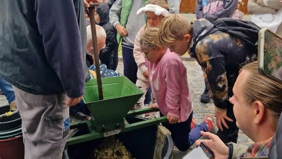 Közös szüret Balatonfüreden: mindenki hozott egy fürt szőlőt