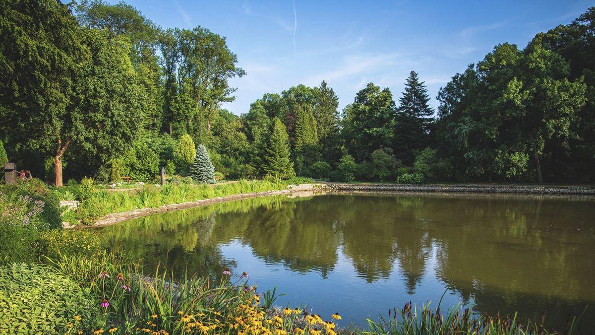 Megint veszélyessé vált az arborétum