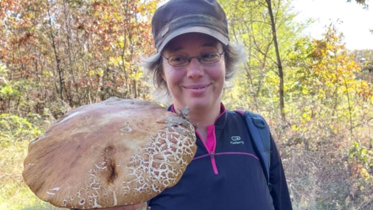 Nemcsak a főapát talált gigagombát, óriásokkal vár most a Bakony
