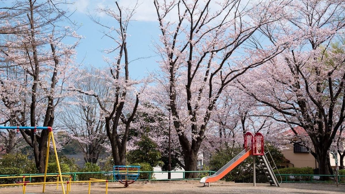 Játszóteret és falubuszt avattak Zalaerdődön