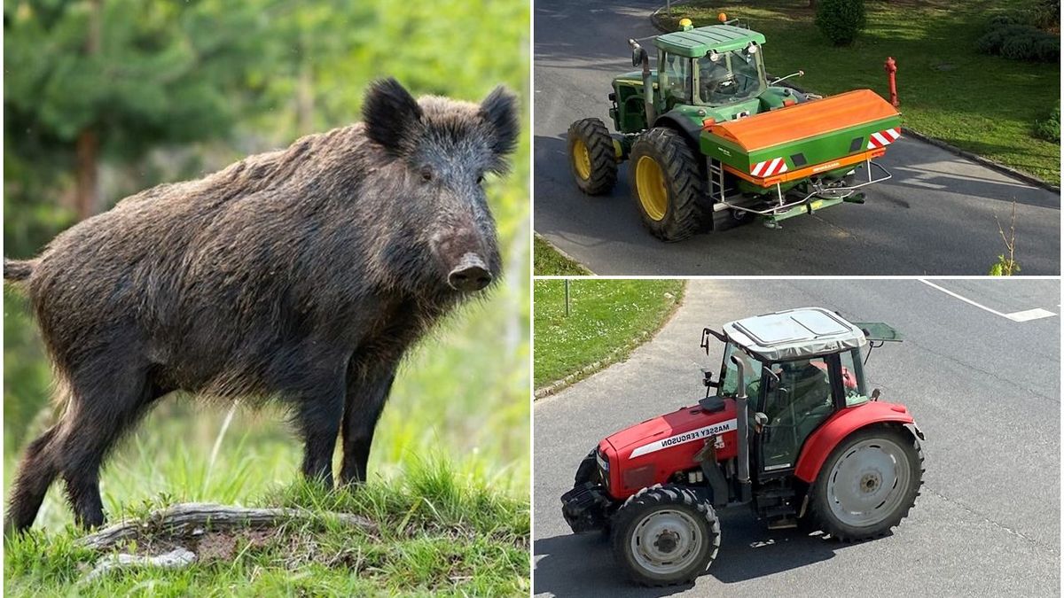 Falusi panaszok – A traktor vagy a vaddisznó a zavaróbb? Véleményeket várunk! (videó)