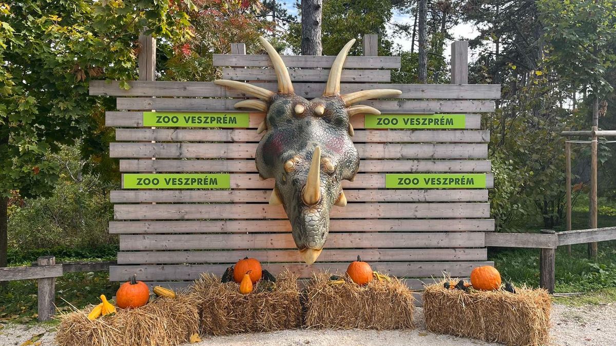 Halloween a Veszprémi Állatkertben (videó)
