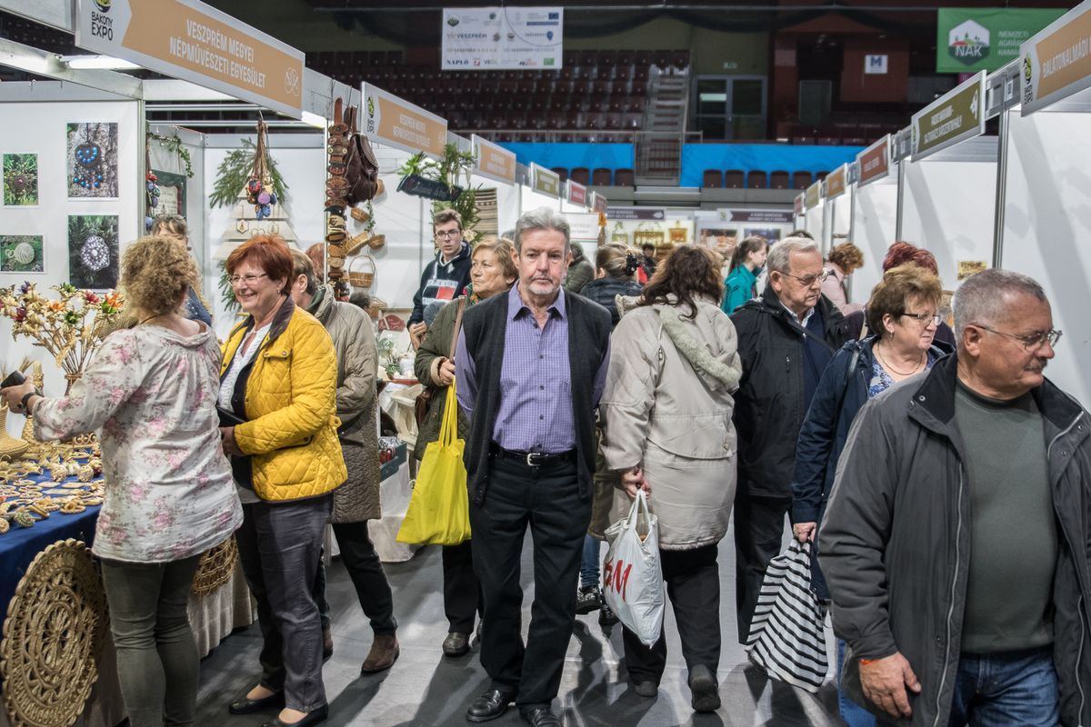 A Bakony Expó ünnepélyes megnyitóját november 8-án, pénteken 16 órától tartják. A helyszín a Veszprém Aréna