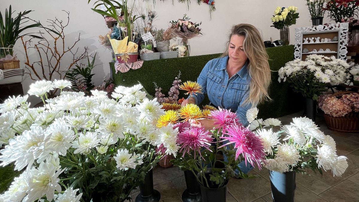 A krizantém a legnépszerűbb: ezekkel a virágokkal emlékezünk szeretteinkre a temetőkben (képgaléria)