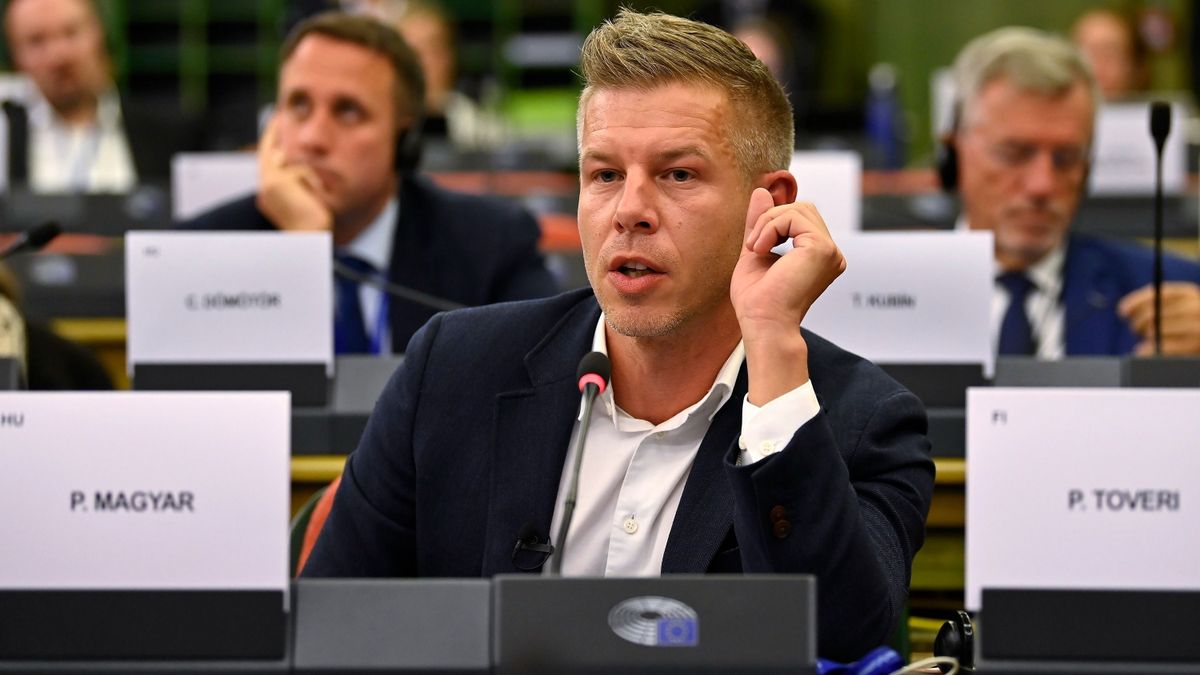 Magyar Péter próbálja letagadni az uniós agrártámogatások ügyében tett állásfoglalását (videó)