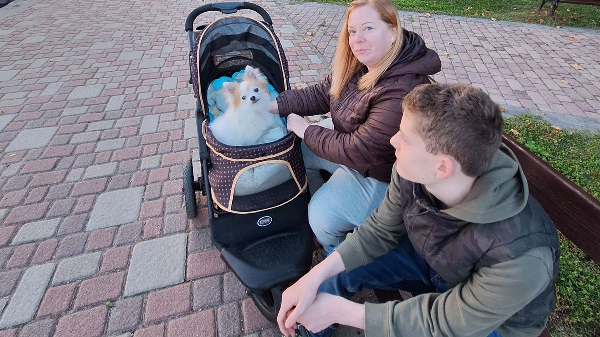 Kisállatkocsi a sérült kedvenceknek