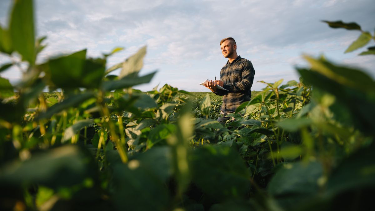 Nemzeti Agrárgazdasági Kamara: fent kell tartani a mostani támogatási rendszert