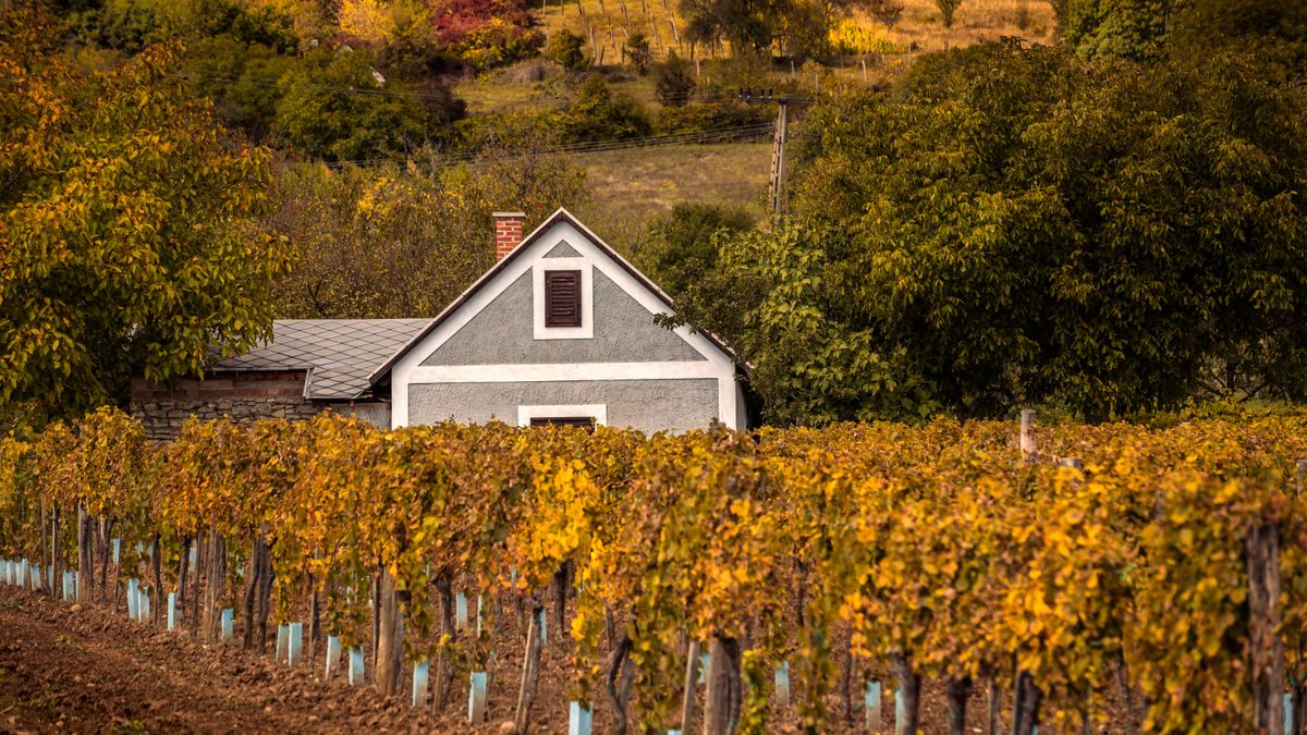 Kellemes őszi idő ígérkezik