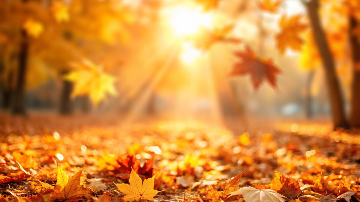 Kellemes őszi idővel kezdődik a hét