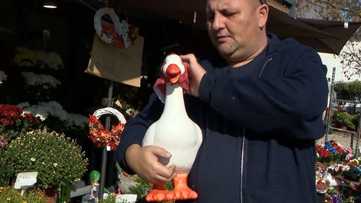 Kerámia kacsa mentette meg egy virágboltos és az anyósa életét (videó)