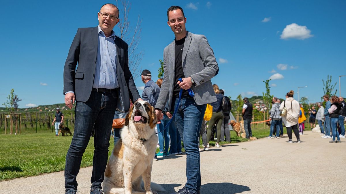 Balatonfüreden nem jellemző a kóbor állat, a kutyások pedig kutyabarát parknak is örülhetnek