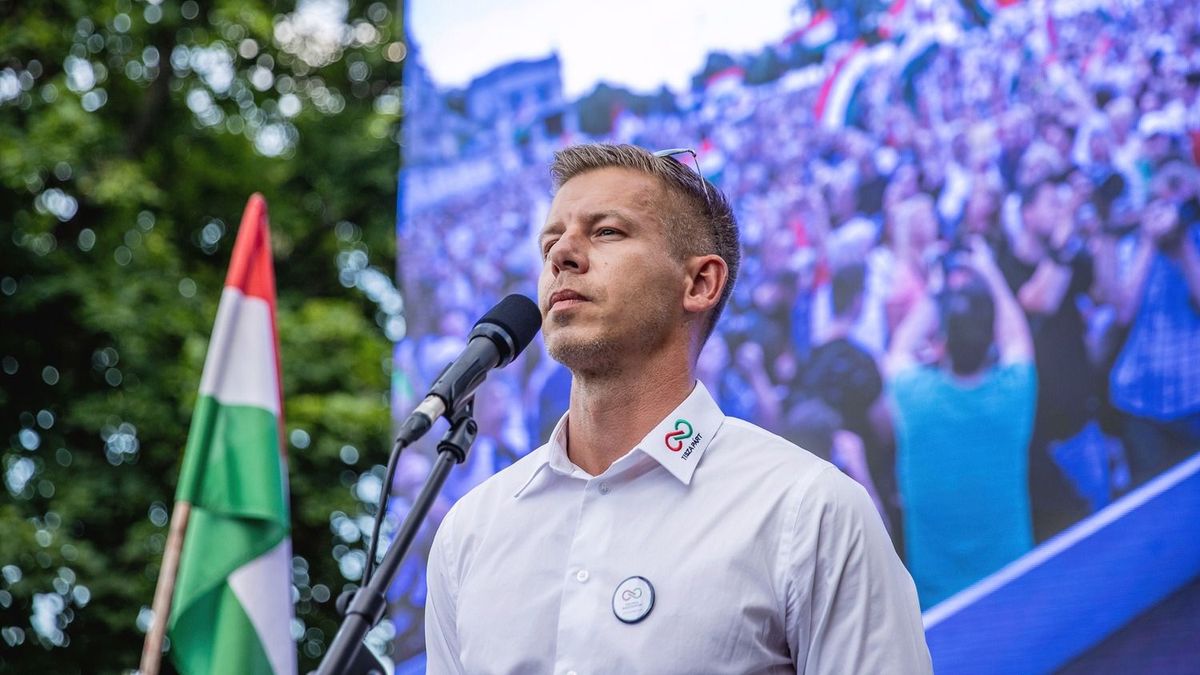 Magyar Péter öccsét fizette az a cég, amelynek vezérigazgatóként tízmilliós megbízásokat adott