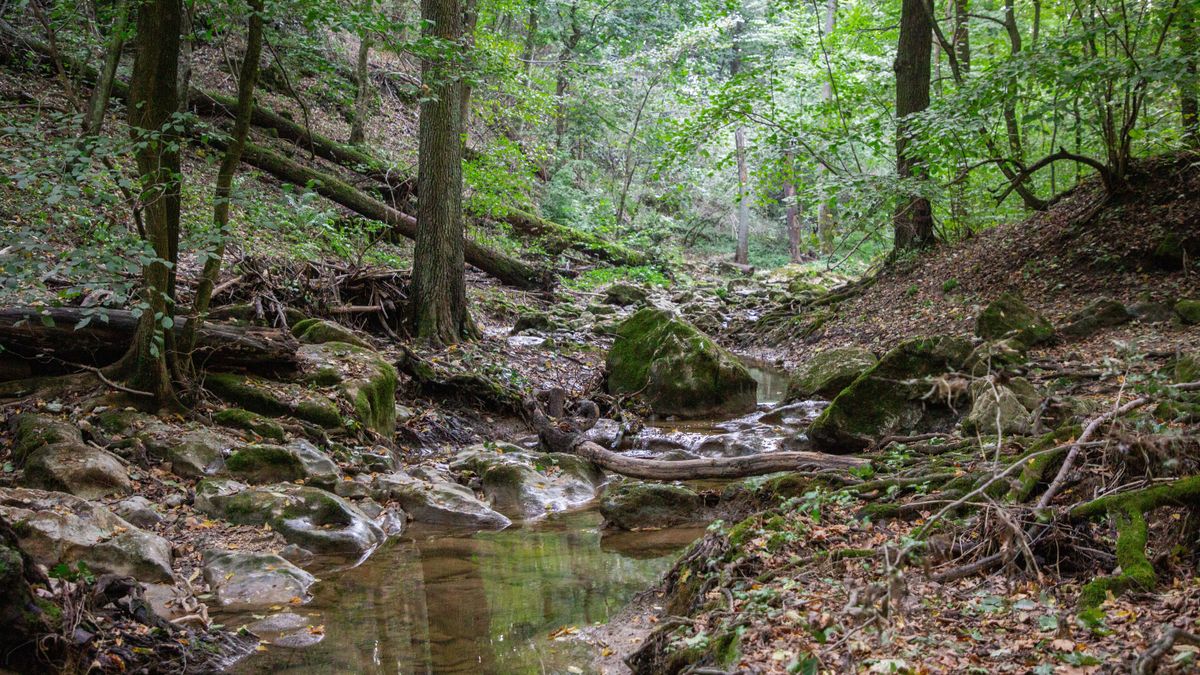 Szellemi kulturális örökség – A Bakony és Balaton vidék is felvételt nyert