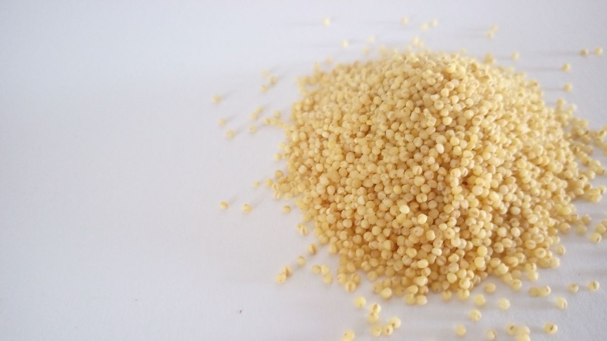 Kölesgolyót hívtak vissza a forgalomból