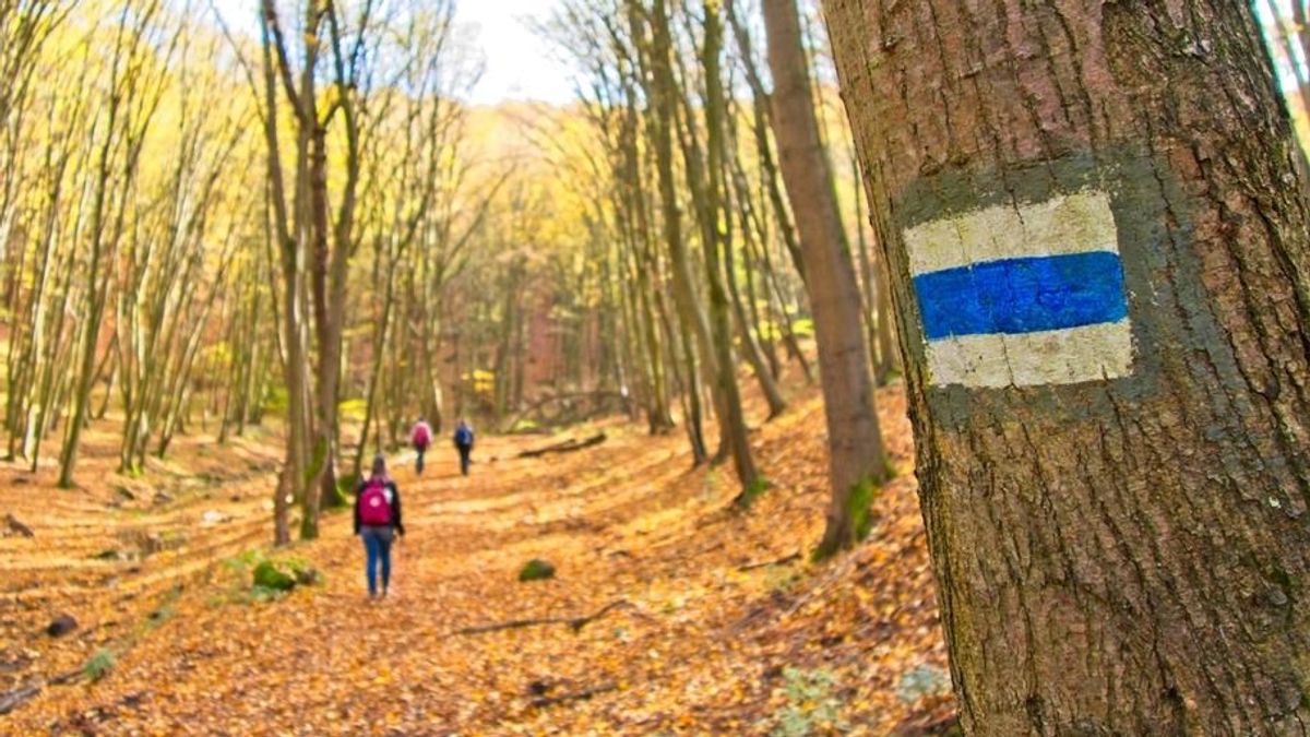 Kellemes kirándulóidőnek örülhetünk szombaton