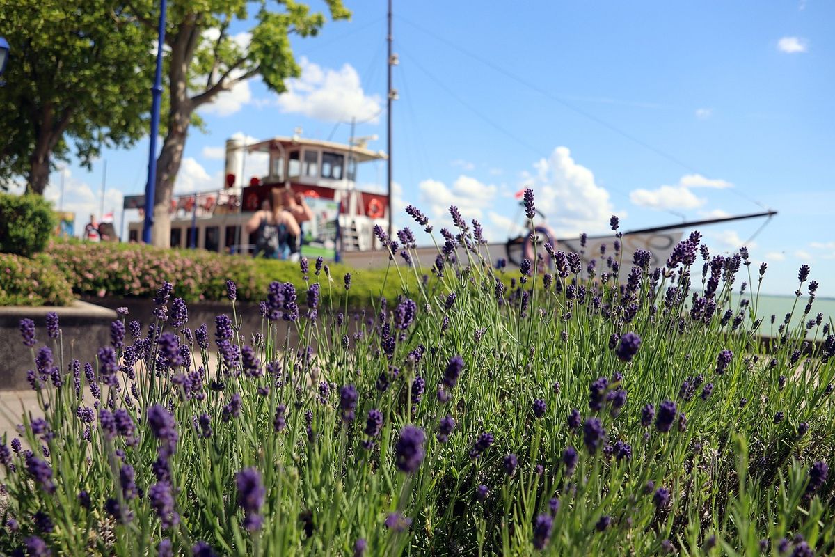 Balaton: rekordszezont zártak
