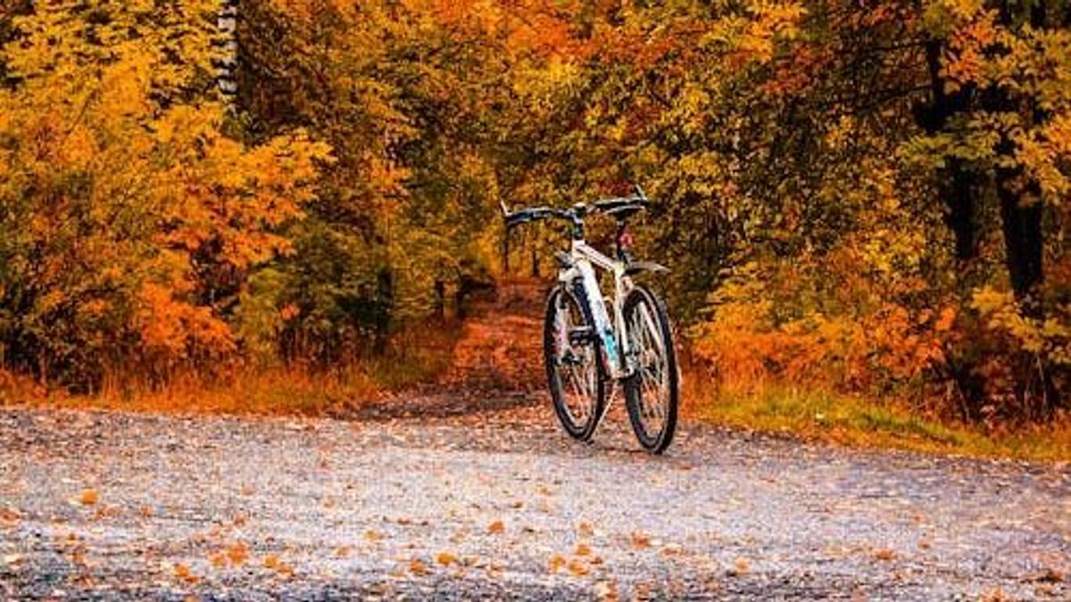 Sokba került a bringázás a 71-es főúton