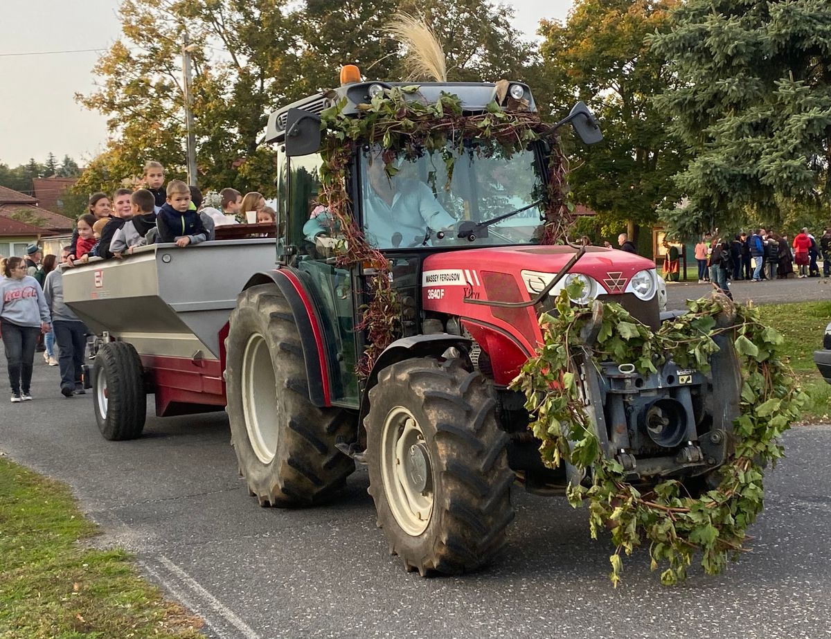 Szüret alkalmából a traktorokat is feldíszítették