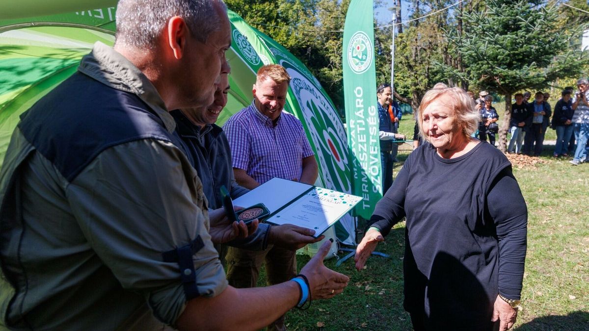 50 éves az Ajkai Kórház Sportegyesület