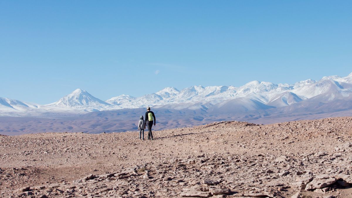 Földönkívüli vagy ember? Hatalmas fekvő óriás foglalkoztatja a tudósokat