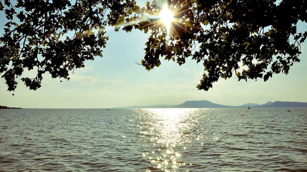 Egyre sósabb a Balaton